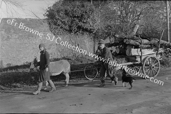 THE DONKEY TAUDREN : CHRISTMAS HOP TO MOUNTMELLICK